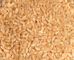 Best Quality Wheat